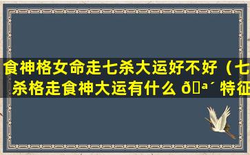 食神格女命走七杀大运好不好（七杀格走食神大运有什么 🪴 特征）